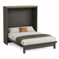Queen Size Wall Bed with Engineered Wood and Oak Finish